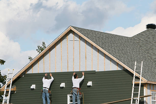 Best Custom Trim and Detailing for Siding  in Telford, TN